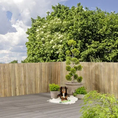 Produktbild von Windhager Sichtschutzmatte Mitake 90 x 300 cm