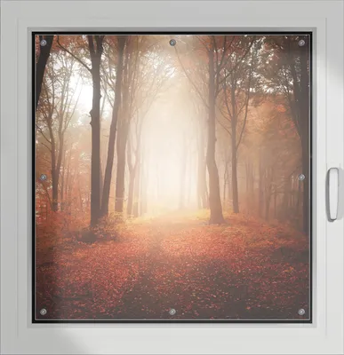 Produktbild von Wallario Lichtschutzbild, Dekorativer Sichtschutz Sonnenschutz 96 x 100 cm mit Motiv: Herbstwald - Weg zu einer Lichtung im Wald - Verdunklung ohne Bohren