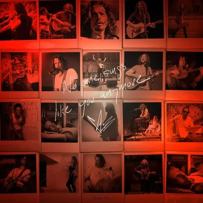Zdjęcie produktu dla No One Sings Like You. CD