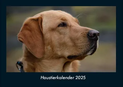 Produktbild von Haustierkalender 2025 Fotokalender DIN A4