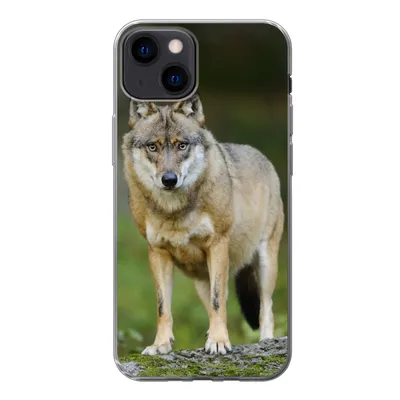 Produktbild von MuchoWow® Handyhülle Schutzhülle Hülle für iPhone 13 Wolf - Asien - Pflanzen Silikon Softcase Handy Hülle - Karteninhaber