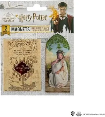 Produktbild von HARRY POTTER - Die Karte des Plünderers - 2 Magnete im Set