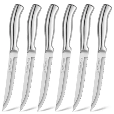 Immagine prodotto di Set di coltelli per bistecca, 6 pezzi, acciaio inossidabile, lama seghettata, lavabili in lavastoviglie, colore argento