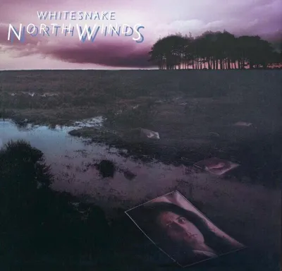 Zdjęcie produktu dla Whitesnake - Northwinds (Black Ice Coloured) (Limited Edition) (LP)
