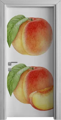 Produktbild von Tür Selbstklebende 90x210 cm Türfolie Türtapete Klebefolie - Weiße Farbige Früchte
