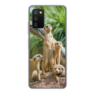 Produktbild von MuchoWow® Handyhülle Schutzhülle Hülle für Samsung Galaxy A03s Erdmännchen - Familie - Tiere Silikon Softcase Handy Hülle - Schutz