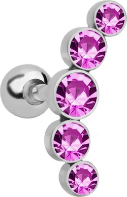 Produktbild von 1 Stück Damen Edelstahl Knorpel Helix Tragus Ohrstecker Piercing Ohrring Geschenk-Rosa