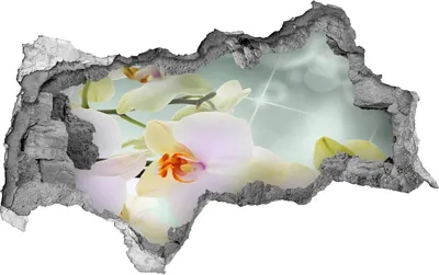 Produktbild von Selbstklebender Loch-3D-Aufkleber 95x73 cm weisse Orchidee