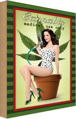 Produktbild von vianmo Holzschild 18x12 cm Pinup Cannabis medical use only Pin Up