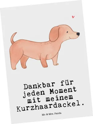 Produktbild von Mr. & Mrs. Panda Postkarte Dackel Kurzhaardackel Moment - Weiß - Geschenk, Ansichtskarte, Grußkarte, Ansichtskarten, Teckel, Dachshund, Postkarten, Fotokarte