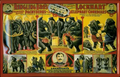 Produktbild von Blechschild Nostalgieschild Ringling Brothers Zirkus Elefanten