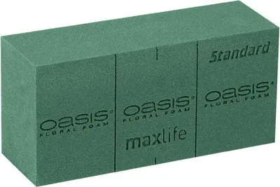Produktbild von OASIS® Standard MaxLife Nass-Steckschaum Ziegel Anjel mit Schneidelinien, grün, 23x11x7,5cm - Nasssteckmasse