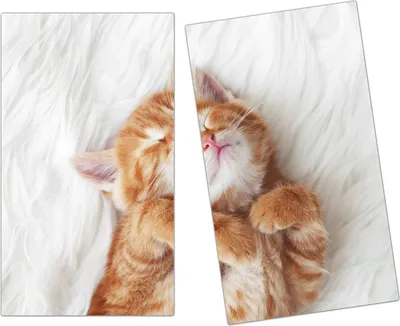 Produktbild von Spritzschutz Herdabdeckplatte Schneidebrett aus Glas Kuschelnde Katze 2-Teilig (60x52cm)
