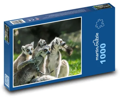 Produktbild von Puzzle 1000 Spielerische Lemurengruppe - martinpuzzle