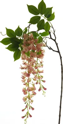 Produktbild von artplants.de Kunstblumen Zweig Blauregen LIANMU, rosa, 140 cm - Künstliche Blume