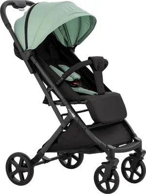 Produktbild von Sportbuggy Tao Grün mit verstellbarer Rückenlehne und gefederten Rädern