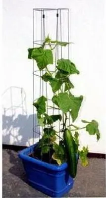 Produktbild von Bellissa Gurkenturm 120cm 120 cm hoch