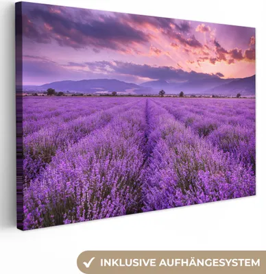 Produktbild von MuchoWow® - Leinwandbilder - Lavendel - Lila - Blumen - Feld, Wandbild, Wanddeko Bilder Wohnzimmer, 120x80 cm