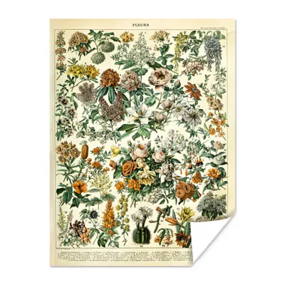 Produktbild von MuchoWow® Poster Blumen - Vintage - Orange 90x120 cm - Wohnzimmer