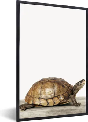 Produktbild von MuchoWow® Gerahmtes Poster Schildkröte - Junge - Tiere - Kinder - Mädchen 20x30 cm - Poster mit Schwarzem Bilderrahmen Wandposter Rahmen Foto Bilder - Drucken - Bilder Poster im Rahmen