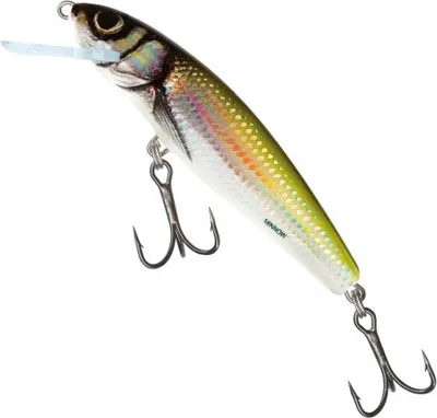Obrázok produktu pre Salmo Minnow Sinking Holo Bleak 7 cm 8 g Wobler