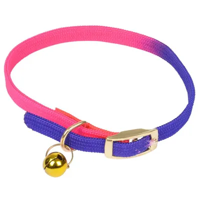 Obrázek produktu pro Obojek pro kočku, 30 cm, neonový, fialový a růžový
