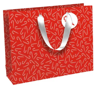 Produktbild von Clairefontaine Weihnachts-Geschenktüte "Lutins" groß