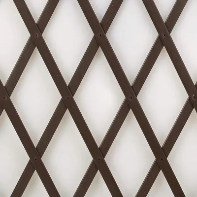 Immagine prodotto di Griglia in PVC per il fissaggio a parete di fiori e piante rampicanti - 100 x 2 m