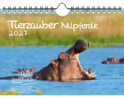 Produktbild von Tierzauber Nilpferde DIN A5 Kalender für 2027 Afrika Flusspferde - Seelenzauber
