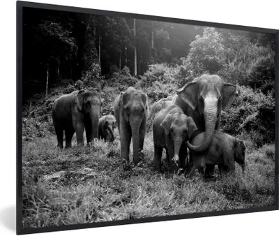 Produktbild von MuchoWow® Gerahmtes Poster Elefanten aus dem Wald - schwarz und weiß 90x60 cm - Poster mit Schwarzem Bilderrahmen Wandposter Rahmen Foto Bilder - Fotorahmen - Foto-Plakat