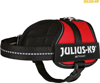 Obrázok produktu pre Julius-K9® Power harness® Baby 1-Mini 33-45 cm/18 mm červená