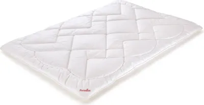 Produktbild von Paradies Winterbettdecke Anela Bio winterwarm Größe 135x200