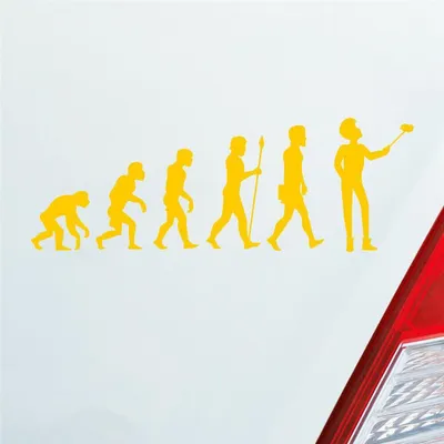Produktbild von Auto Aufkleber Evolution Selfie Stick Handy Entwicklung Darwin 19x6,7 cm Gelb Sticker Heckscheibenaufkleber
