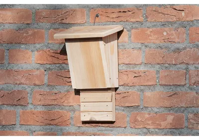 Productafbeelding van Bouwpakket: Vleermuisnest.