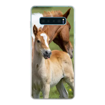 Produktbild von MuchoWow® Handyhülle Schutzhülle Hülle für Samsung Galaxy S10 Lite Pferde - Fohlen - Gras Silikon Softcase Handy Hülle - Schutz