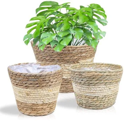 Productafbeelding van Beige, handgeweven zeegrasmat voor het groeperen van planten