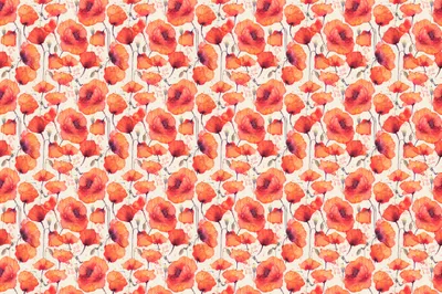 Zdjęcie produktu dla Fototapeta Dekoracja akwarelowa polne czerwone kwiaty Dzika przyroda efekt 3D 450x300cm