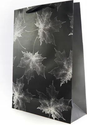 Produktbild von Geschenktüte Groß 31x44cm - Stabile Papiertragetasche XL - Verpackung für große Geschenke