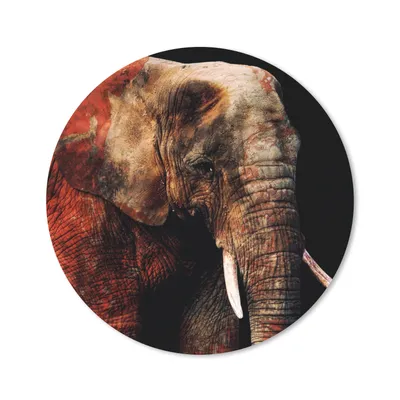 Produktbild von MuchoWow® Mauspad Mousepad Elefant - Rot - Zähne 20x20 cm - Mousepads - Maus Mat - Pad - Mausunterlage - Schreibtischmatte