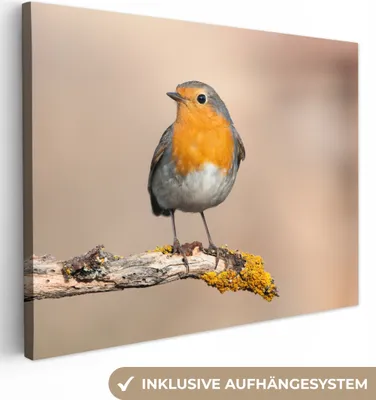 Produktbild von MuchoWow® - Leinwandbilder - Rotkehlchen - Vogel - Zweig - Tiere, Wandbild, Wanddeko Bilder Wohnzimmer, 120x90 cm