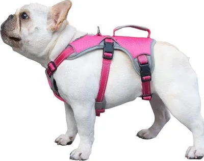 Immagine prodotto di Gilet di sicurezza per cani, a prova di fuga, gilet anti-panico per cani, gilet riflettente con maniglia, gilet regolabile per cani di taglia media e grande, per l'addestramento e la sicurezza