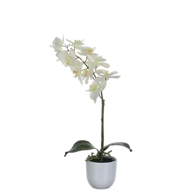 Produktbild von Mica Kunstpflanze Phalaenopsis im Topf weiß, 60 x 16 cm