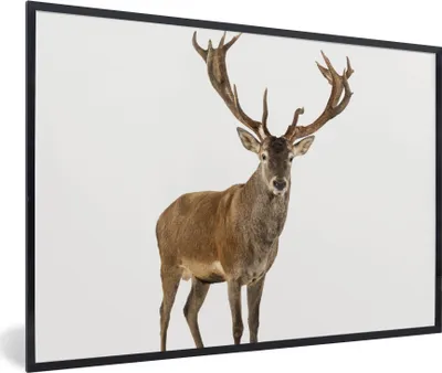 Produktbild von MuchoWow® Gerahmtes Poster Hirsche - Tiere - Geweih - Kinder - Mädchen - Jungen 30x20 cm - Poster mit Schwarzem Bilderrahmen Wandposter Rahmen Foto Bilder - Kunstdruck - Bild-Poster