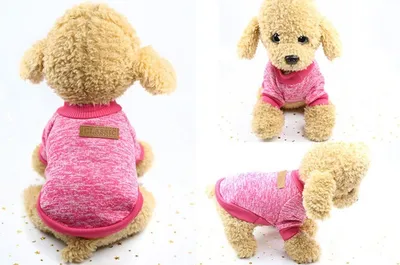 Immagine prodotto di Felpa per cane - Rosa L