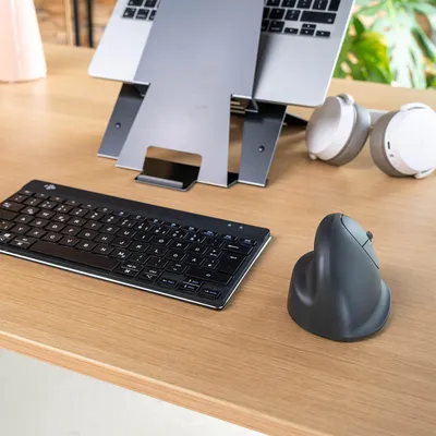 Immagine prodotto di R-Go Mouse HE Basic RGOHEBAMRWL medio senza fili