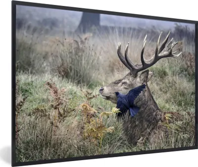 Produktbild von MuchoWow® MuchoWow® Gerahmtes Poster Hirsch - Vogel - Wald 60x40 cm - Poster mit zchwarzem Bilderrahmen - Printing - Wanddeko Schlafzimmer