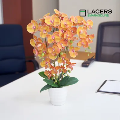 Produktbild von Lacers SmagragdLine Pflegeleichte Orchidee mit Topf orange -60cm / dekorative kunstpflanze im Topf-lebendige Farben wie echt wirkende Blätter & Blüten