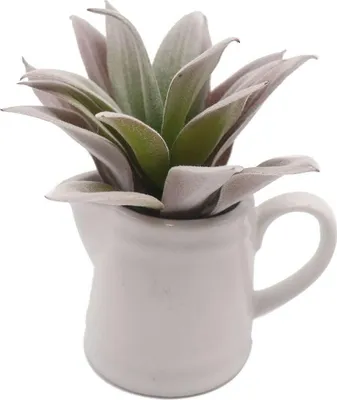Obrázok produktu pre Versa 21570015, 6 kusov