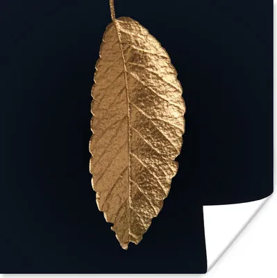 Produktbild von MuchoWow® Poster Blätter - Schwarz - Gold - Luxus - Natur 50x50 cm - Wohnzimmerdekoration