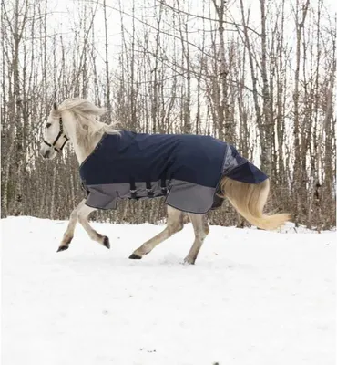 Immagine prodotto di Cintura addominale Equithème Tyrex 600D - blu navy/grigio